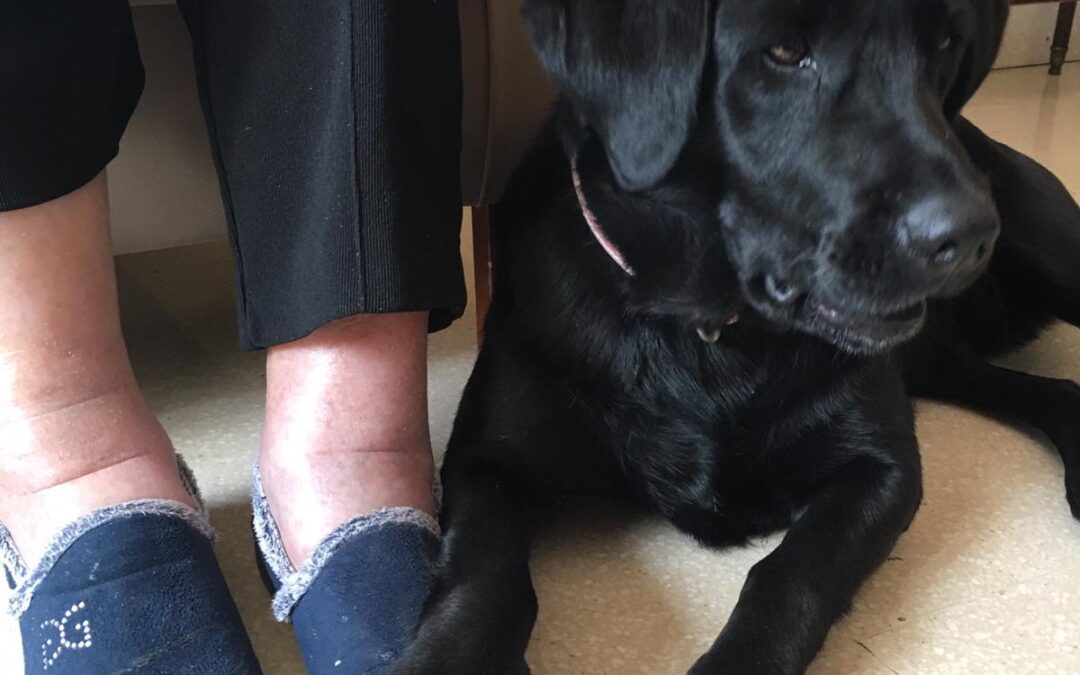 COM ENS AGRADA QUE LA NILA ENS VINGUI A VEURE