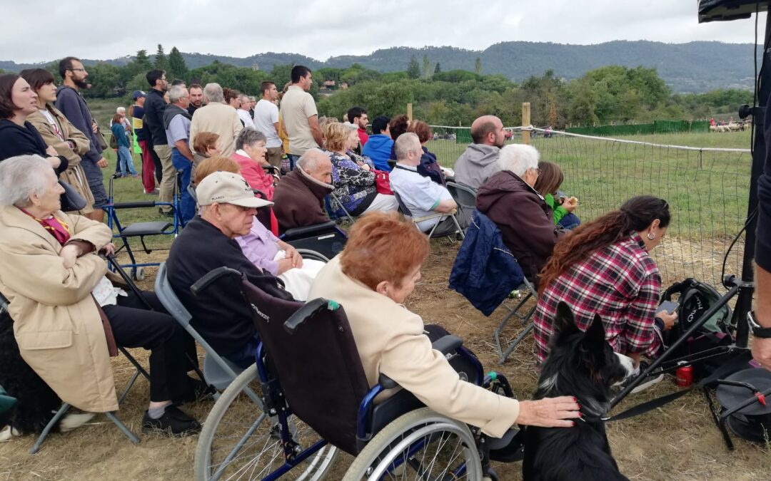 SORTIDA AL CONCURS DE GOSSOS D’ATURA